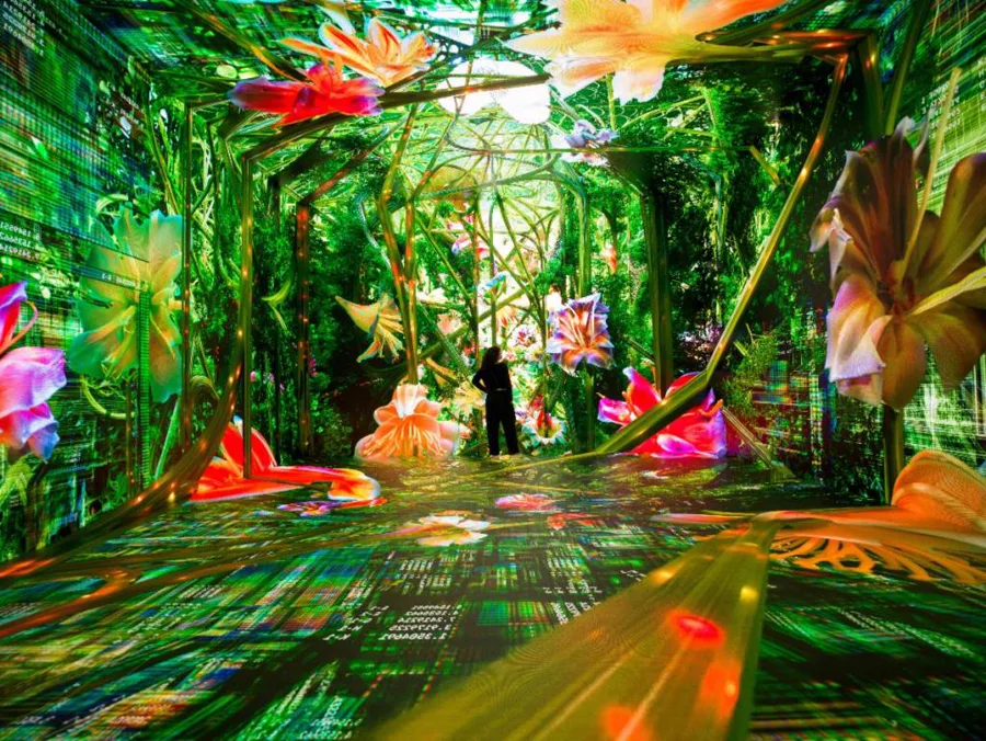Machine Dreams: Rainforest