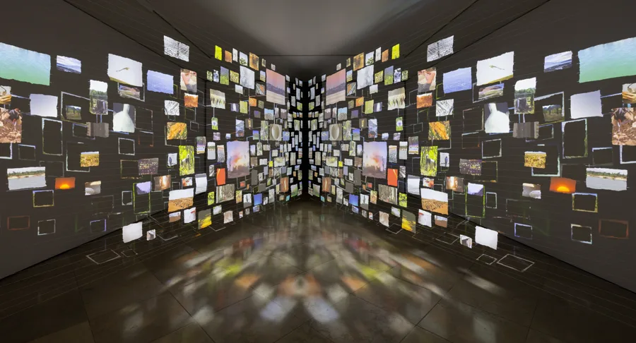 Fuse Box: Sarah Sze