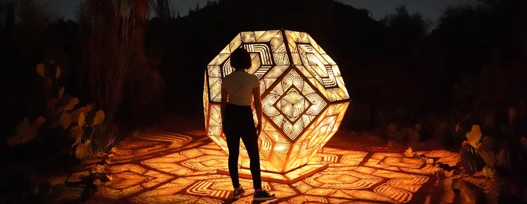 Patterns in Nature: The Art of HYBYCOZO