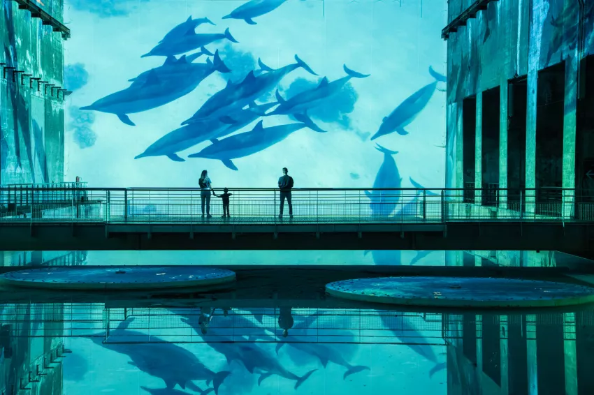 Ocean (Bassins des Lumières)