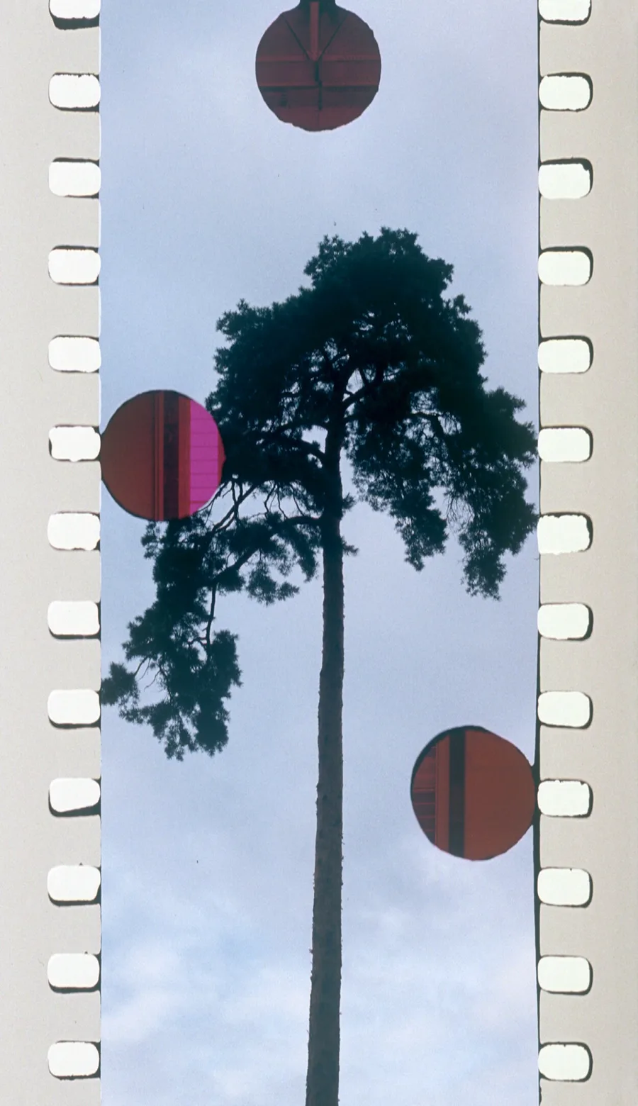 Tacita Dean: FILM