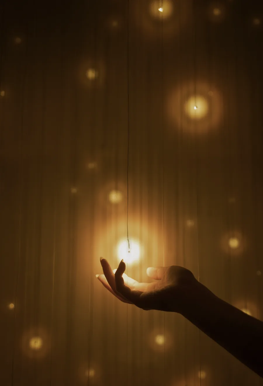 teamLab: Everything Exists in Infinite Continuity