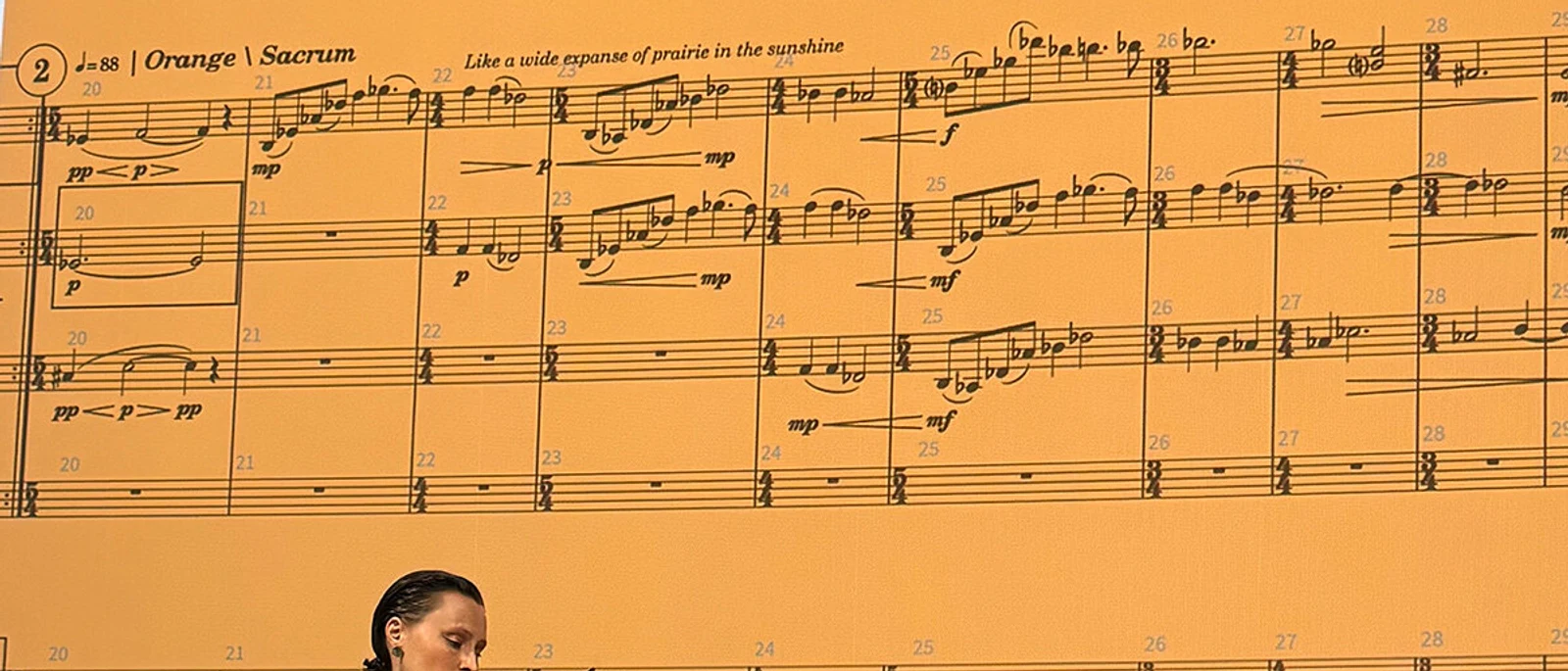 The Colour Version of the Subtitles