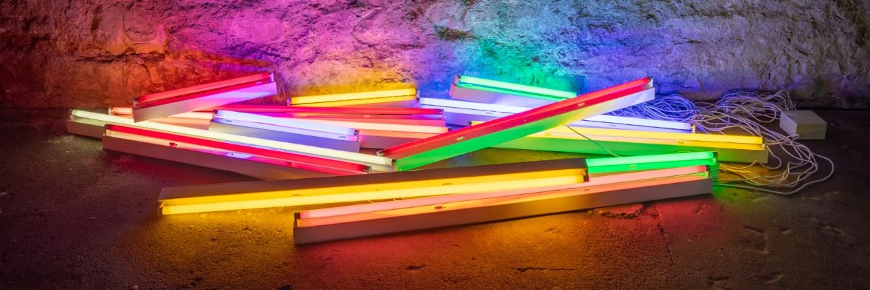 Light Dialogues at the ZfIL
