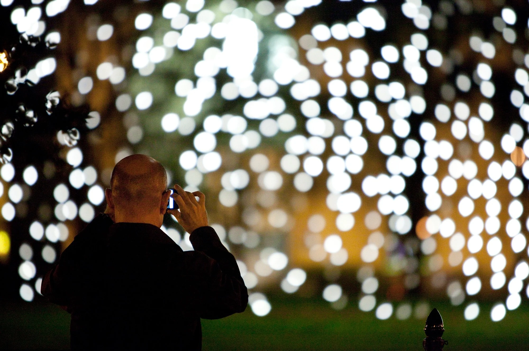 A field of hanging bulbs turns into a crowd if you stand in the right place
